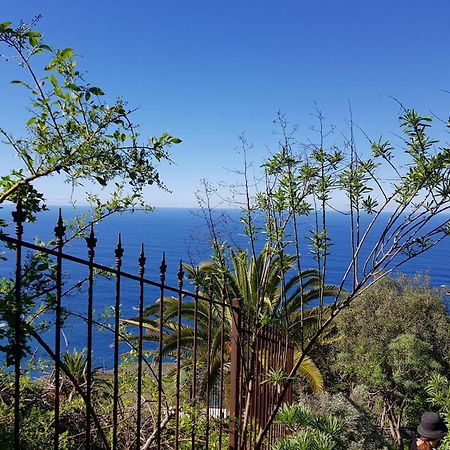Villa Larnia De Tenerife Sauzal Zewnętrze zdjęcie