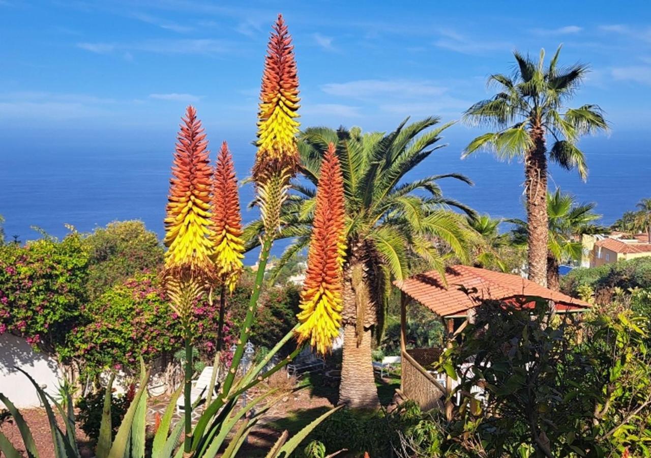 Villa Larnia De Tenerife Sauzal Zewnętrze zdjęcie