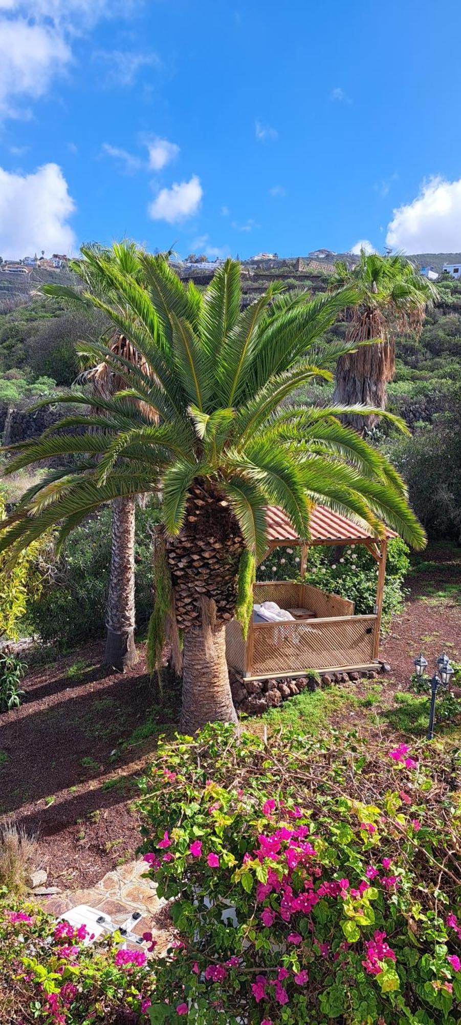 Villa Larnia De Tenerife Sauzal Zewnętrze zdjęcie