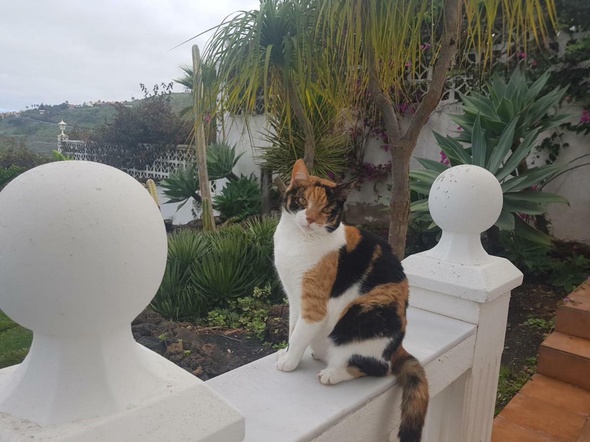 Villa Larnia De Tenerife Sauzal Zewnętrze zdjęcie