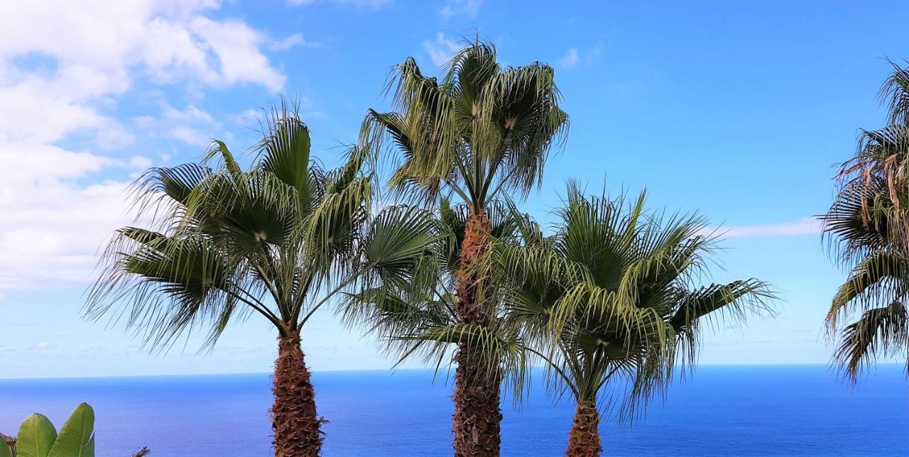 Villa Larnia De Tenerife Sauzal Zewnętrze zdjęcie